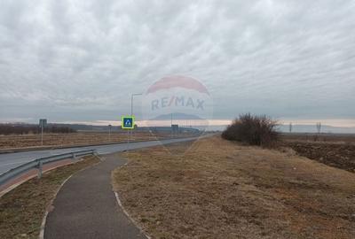 Vanzare teren intravilan parcelat, in Branesti langa - Autostrada A2 - 7