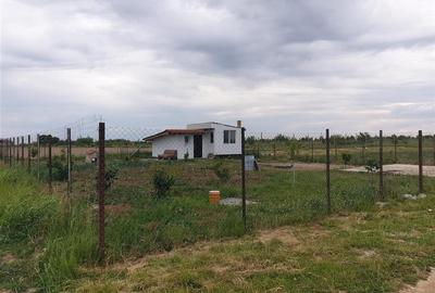 Teren intravilan cu cabana in Pausa - 3
