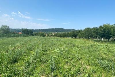 Teren de 2640 mp, în Albești - 2