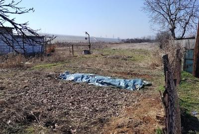 Spațiu comercial, în Proaspeți - 7