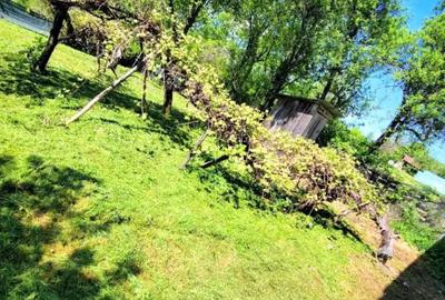 Casă cu 3 camere în Avram Iancu (Vârfurile) - 8