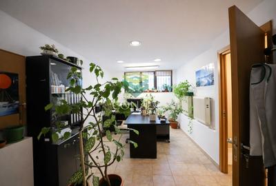 Apartament in vila zona Aviatorilor - 21