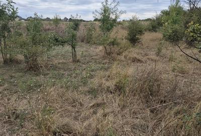 Teren de 5457 mp, în Măgurele - 3