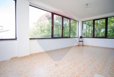 Casa / Vila Zona Bucium, Paun - 12
