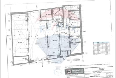 Spațiu comercial, de 200 mp, în Teiul Doamnei - 4