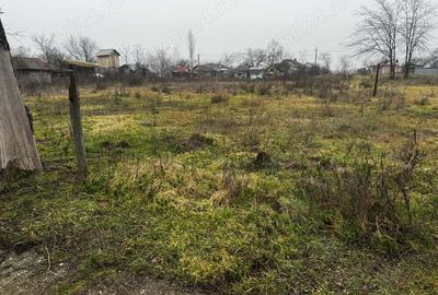 Spațiu comercial, în Alexandriei - 1