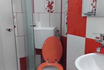 Garsonieră decomandată în Aurel Vlaicu - 3