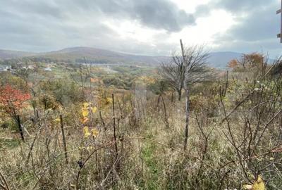 Teren de 787 mp, în Central - 2