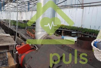 ? Teren intravilan in Jupani (Timis), 10,19 Euro/mp.? - 2