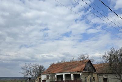 Casă cu 3 camere în Ciuhoi - 1