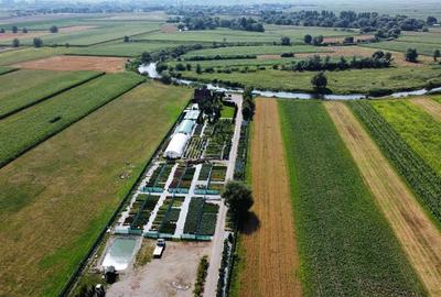 Teren Construcții intravilan de 12500 mp, în Chichiș - 3