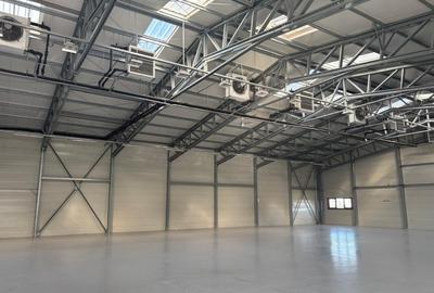 Hala Industriala Premium de inchiriat - 2