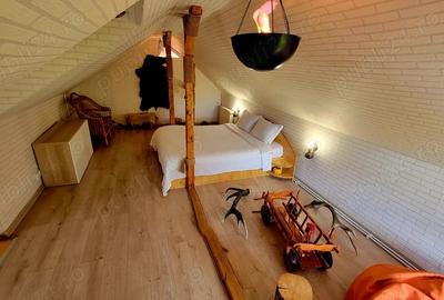 Casa de Vacanta - Cheile Dambovicioarei - 2