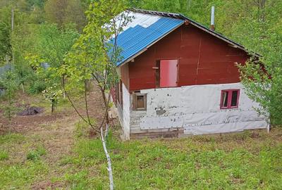 Teren intravilan + constructie pretabila casa vacanta/activitati diverse