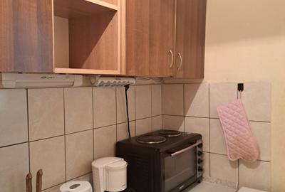 Garsonieră de închiriat – B-dul Take Ionescu – Etaj 1/10, mobilată și utilată - 3