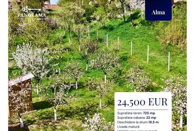 Teren agricol intravilan de 725 mp, în Alma - 2