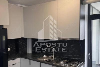 Apartament cu 2 camere semidecomandat, mobilat în Torontalului - 9