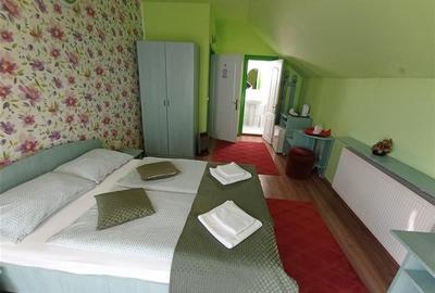 De vanzare pensiune in Tg Mures, situata semicentral