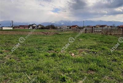 Eren intravilan 1400 mp de vanzare pe Valea Avrigului - 4