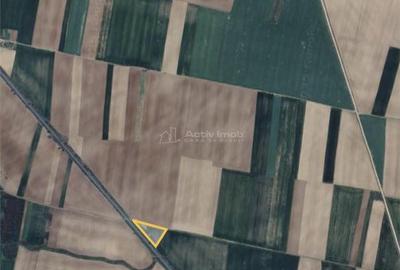 Teren de 3000 mp, în Sălard - 3