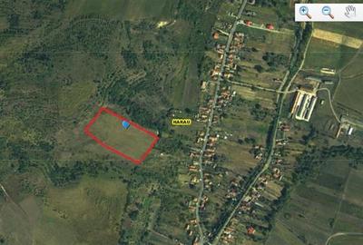 1,8 ha teren cu priveliste langa Deva in Barsau. - 5