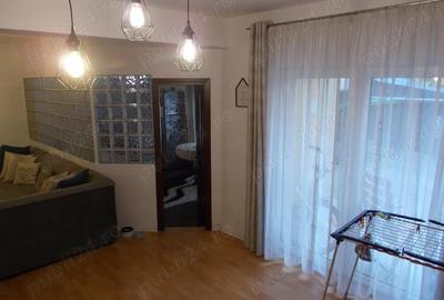 Spatiu comercial+casa mobilata Timisoara, zona Sagului, Dambovita - 19