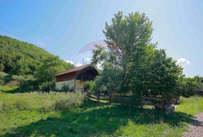 De vanzare Casa de Vacan?a cu 3 camere, teren 1146 mp... - 3