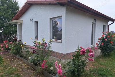 Casă cu 2 camere cu Teren 864 Mp în Central - 5