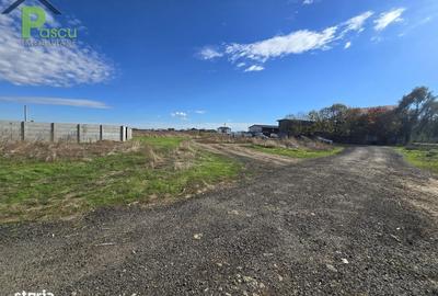 Spațiu comercial, în Giurgiului - 3