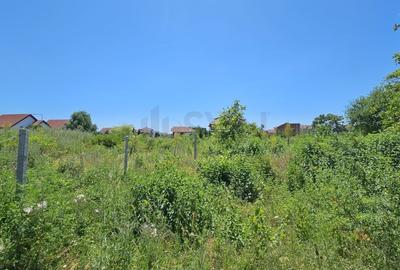 REL4001156 Teren de vanzare in Baneasa - 6