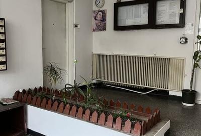 VANZARE APARTAMENT 2 CAMERE, ZONA MATEI VOIEVOD CU VATRA LUMINOASA - 16