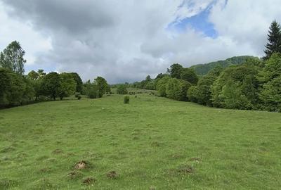 Spațiu comercial, în Mlăceni - 4