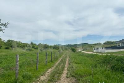 Teren de 500 mp, în Viișoara - 1