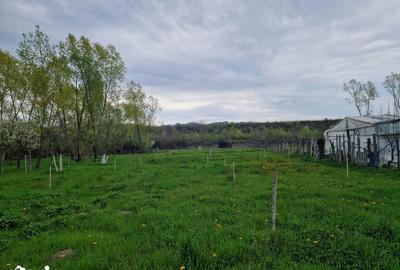 Teren de 1809 mp, în Moțăieni