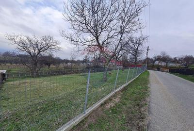 Teren intravilan la Strada Principala in Haulisca - 3