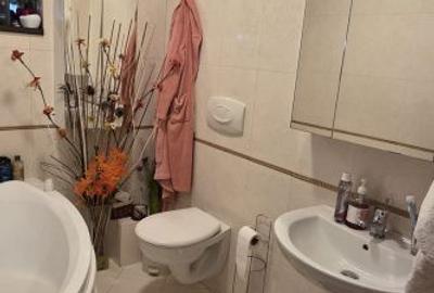 Apartament cu 3 camere decomandat în Găvana - 3