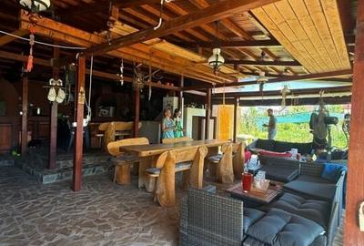 Casa Mogosoaia cu livada, crama si terasa - 8