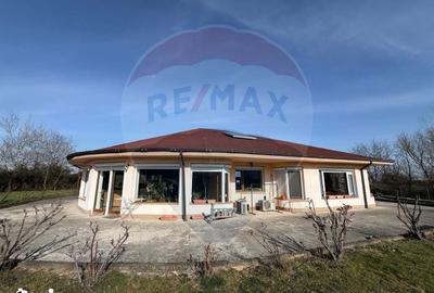 Casă cu 3 camere cu Teren 2000 Mp în Sânmartin - 12