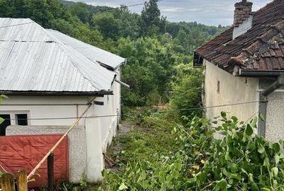 Teren de 1000 mp, în Provița de Jos