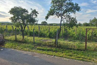 Spațiu comercial, în Valea Largă - 3