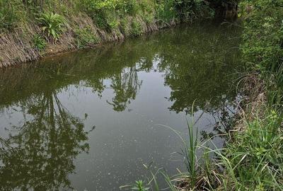 Spațiu comercial, în Snagov - 3