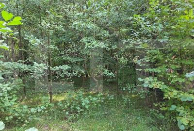 Teren cu AC pe Valea Capriorii Feleacu - 7