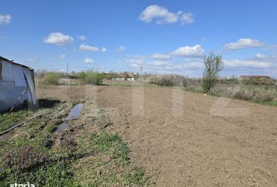 Spațiu comercial, în Lucian Blaga - 1