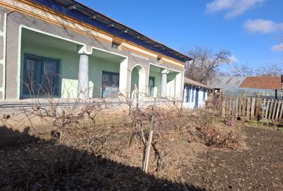 Casa in Sat Segarcea Deal jud. Teleorman - 3