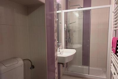 Apartament 2 camere in Deva, zona Liceul Auto - 13
