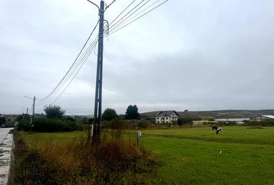 Vanzare 10.000 mp teren Liteni Suceava- la strada -potrivit proiect fonduri - 13