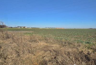 Teren Construcții intravilan de 9653 mp, în Eforie Nord - 6