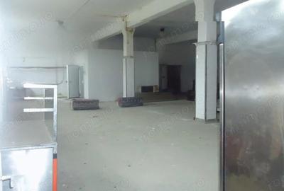 Hala depozitare / produc?ie, 10000 mp - 2