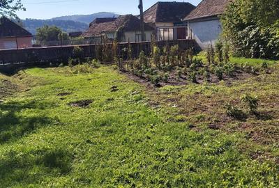 Casă cu 3 camere în Trei Sate - 1