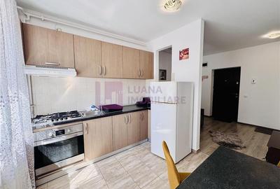 Apartament cu 2 camere decomandat, mobilat în Turnișor - 3